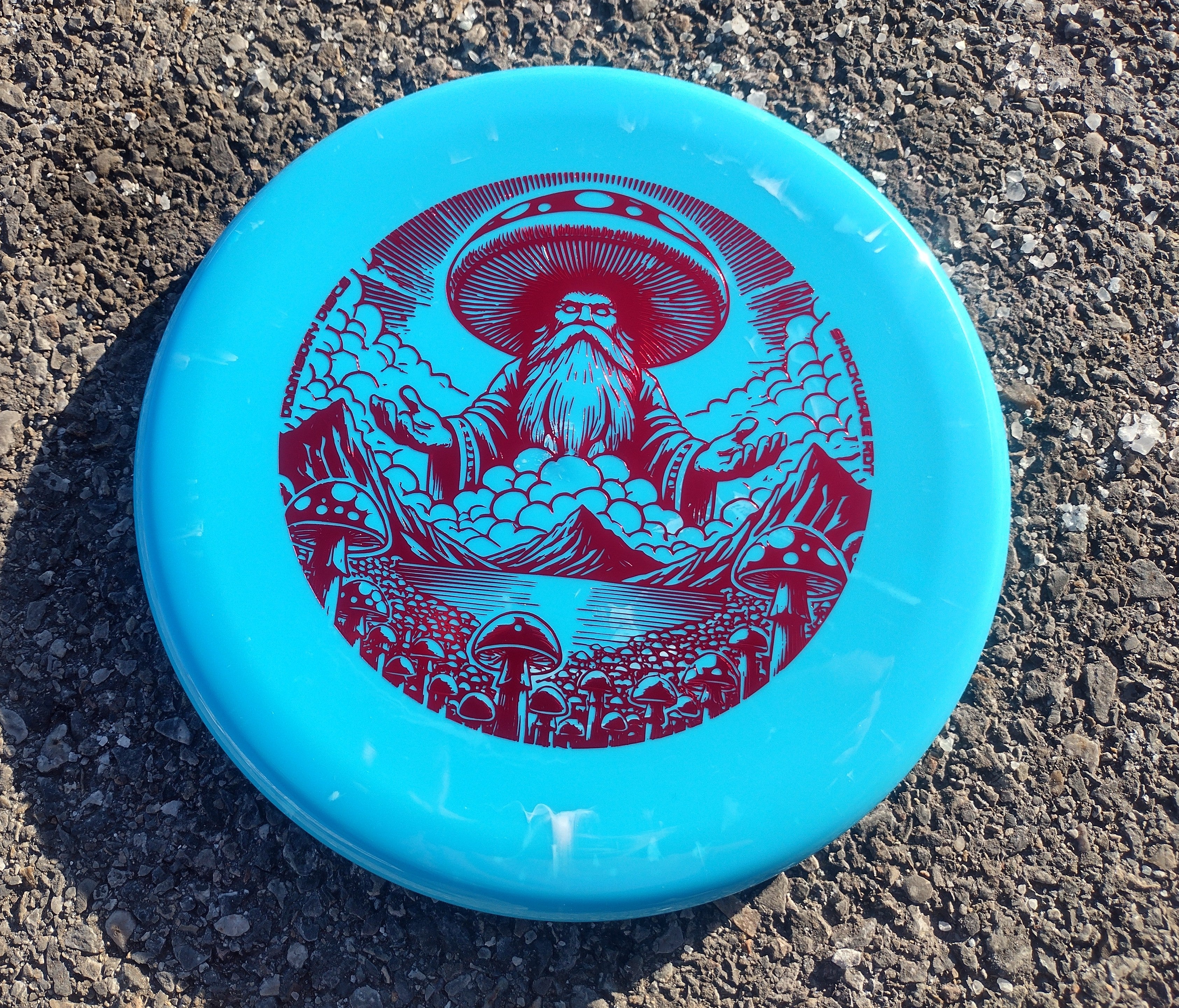 Rot in Shockwave Plastic – Doomsday Discs